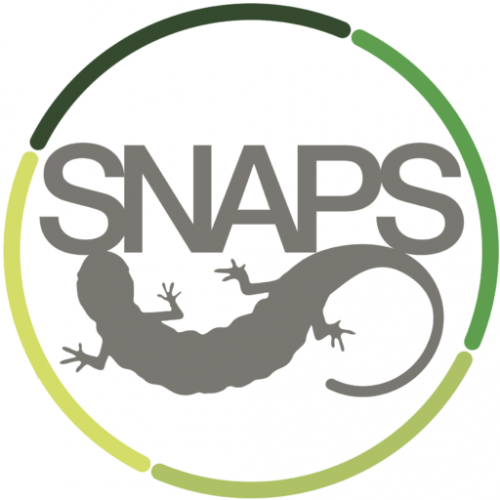 cropped-SNAPS-logo-E1.png